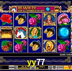 yy77 Rio de Janeiro - Bonus Terms